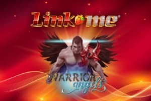Link Me Warrior Angels